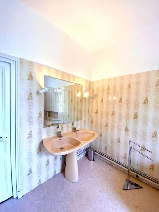 Demeure St Martin Villa Vierzon Eksteriør billede