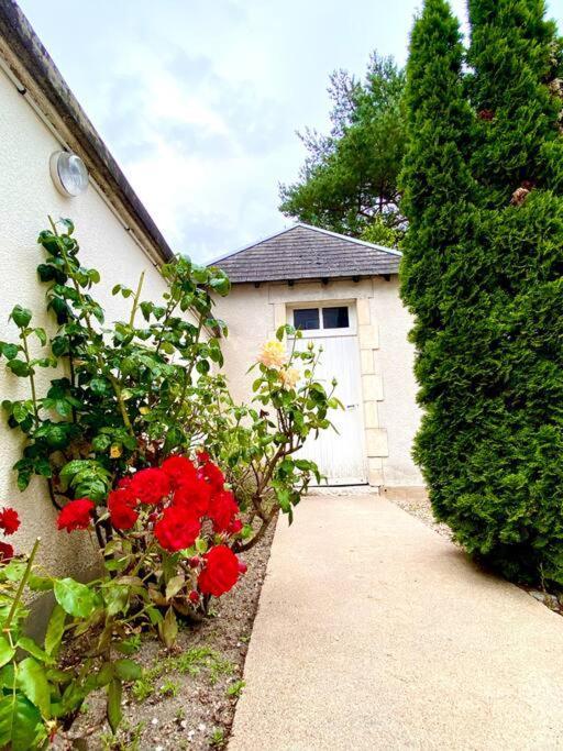 Demeure St Martin Villa Vierzon Eksteriør billede